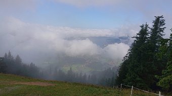2021-08-25-10h15m13